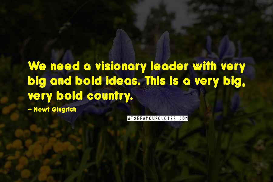 Newt Gingrich Quotes: We need a visionary leader with very big and bold ideas. This is a very big, very bold country.