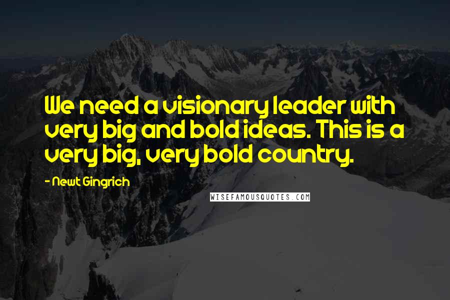 Newt Gingrich Quotes: We need a visionary leader with very big and bold ideas. This is a very big, very bold country.