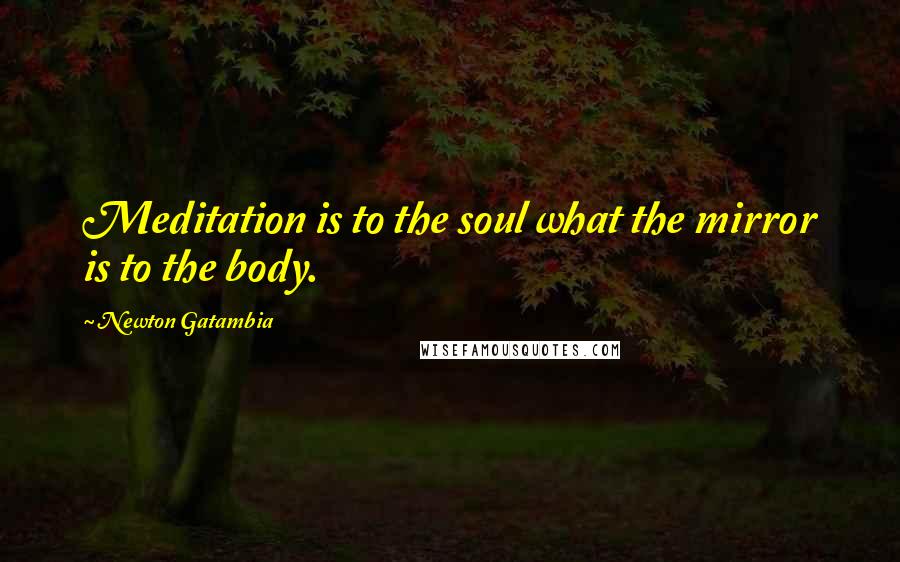 Newton Gatambia Quotes: Meditation is to the soul what the mirror is to the body.