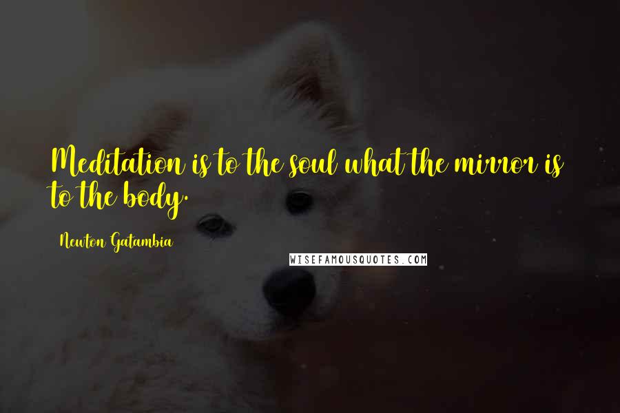Newton Gatambia Quotes: Meditation is to the soul what the mirror is to the body.
