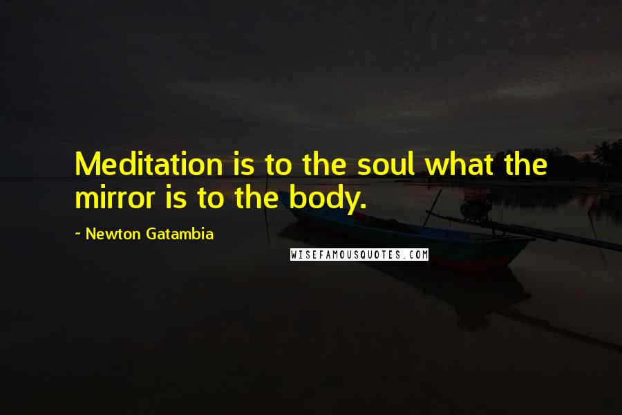 Newton Gatambia Quotes: Meditation is to the soul what the mirror is to the body.