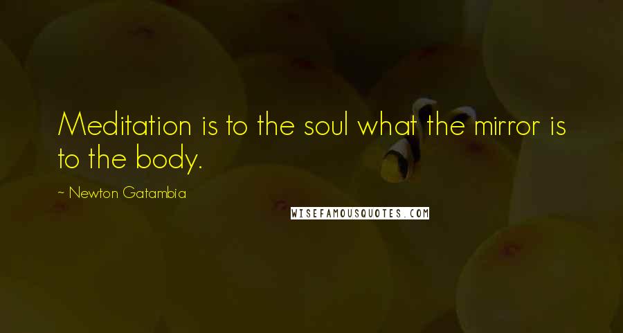 Newton Gatambia Quotes: Meditation is to the soul what the mirror is to the body.