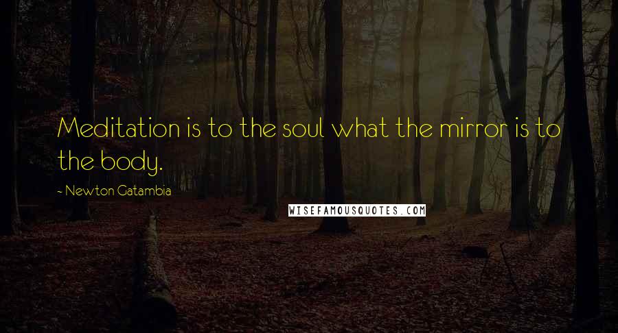 Newton Gatambia Quotes: Meditation is to the soul what the mirror is to the body.