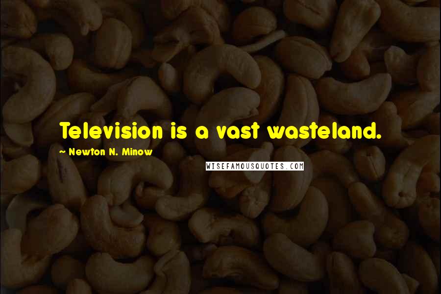 Newton N. Minow Quotes: Television is a vast wasteland.