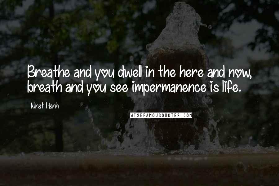 Nhat Hanh Quotes: Breathe and you dwell in the here and now, breath and you see impermanence is life.