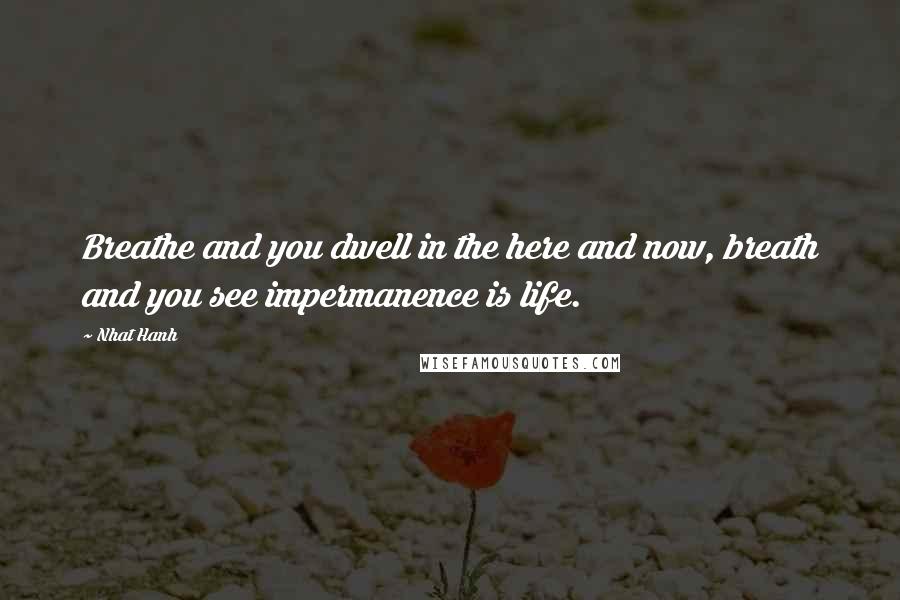 Nhat Hanh Quotes: Breathe and you dwell in the here and now, breath and you see impermanence is life.