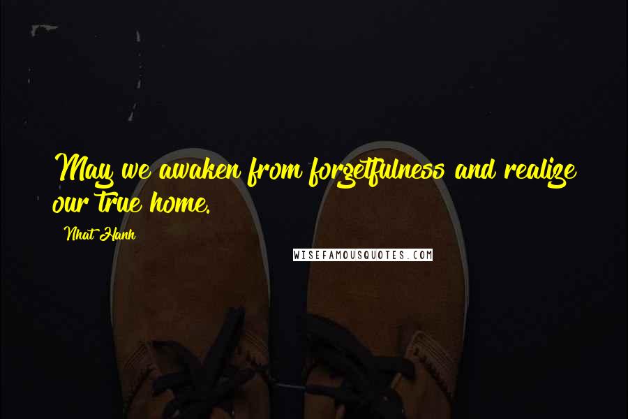 Nhat Hanh Quotes: May we awaken from forgetfulness and realize our true home.