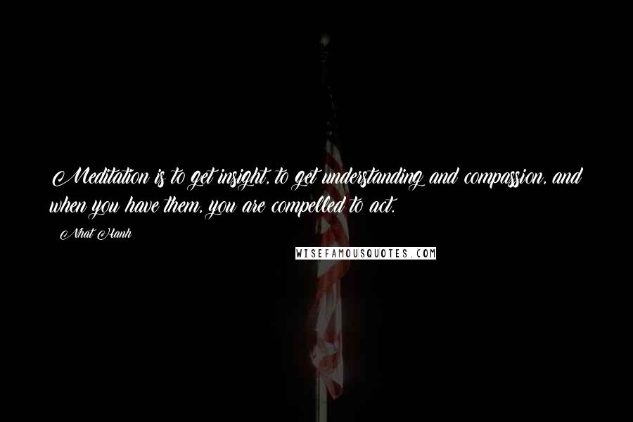 Nhat Hanh Quotes: Meditation is to get insight, to get understanding and compassion, and when you have them, you are compelled to act.