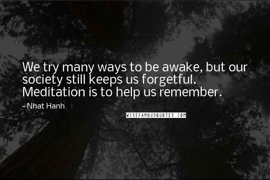 Nhat Hanh Quotes: We try many ways to be awake, but our society still keeps us forgetful. Meditation is to help us remember.