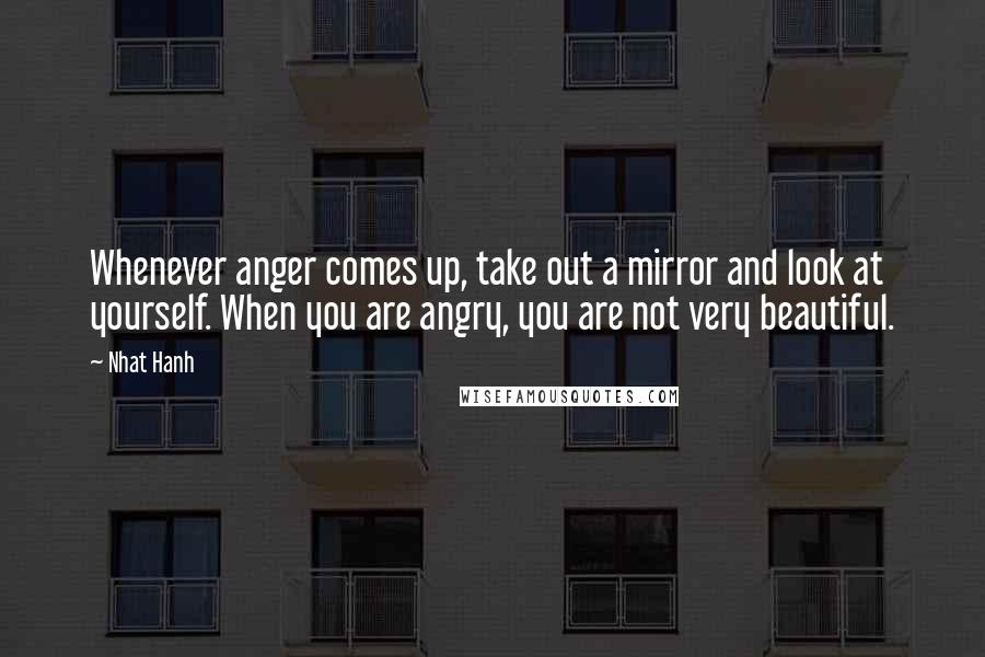 Nhat Hanh Quotes: Whenever anger comes up, take out a mirror and look at yourself. When you are angry, you are not very beautiful.