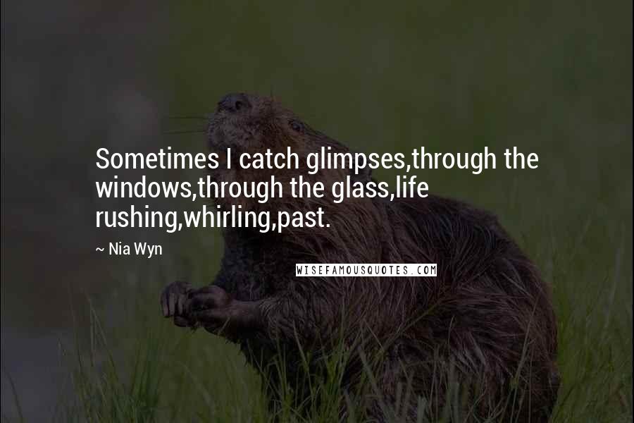 Nia Wyn Quotes: Sometimes I catch glimpses,through the windows,through the glass,life rushing,whirling,past.