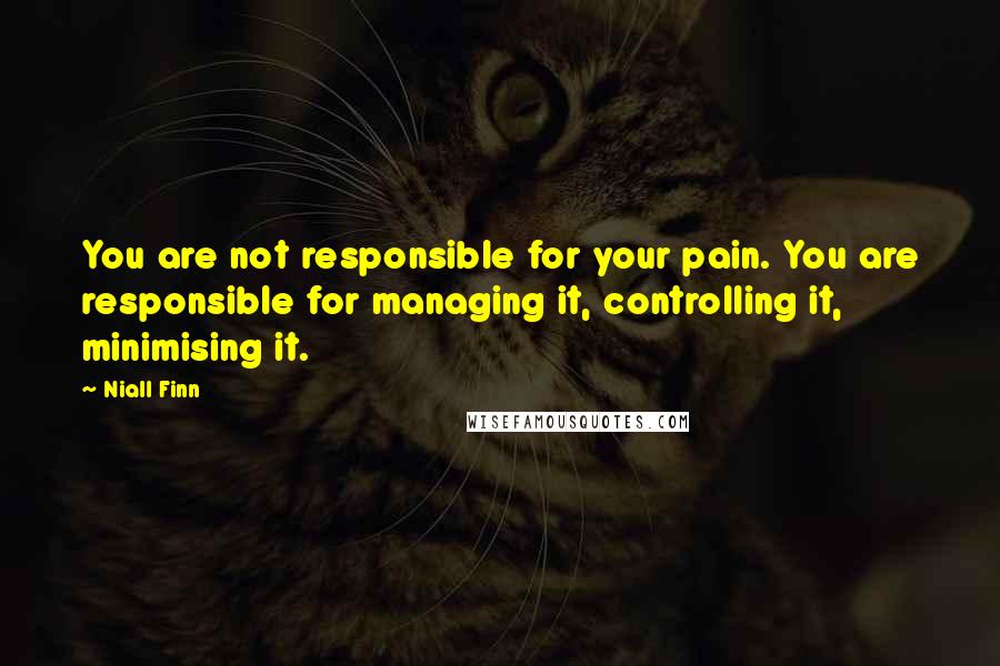 Niall Finn Quotes: You are not responsible for your pain. You are responsible for managing it, controlling it, minimising it.