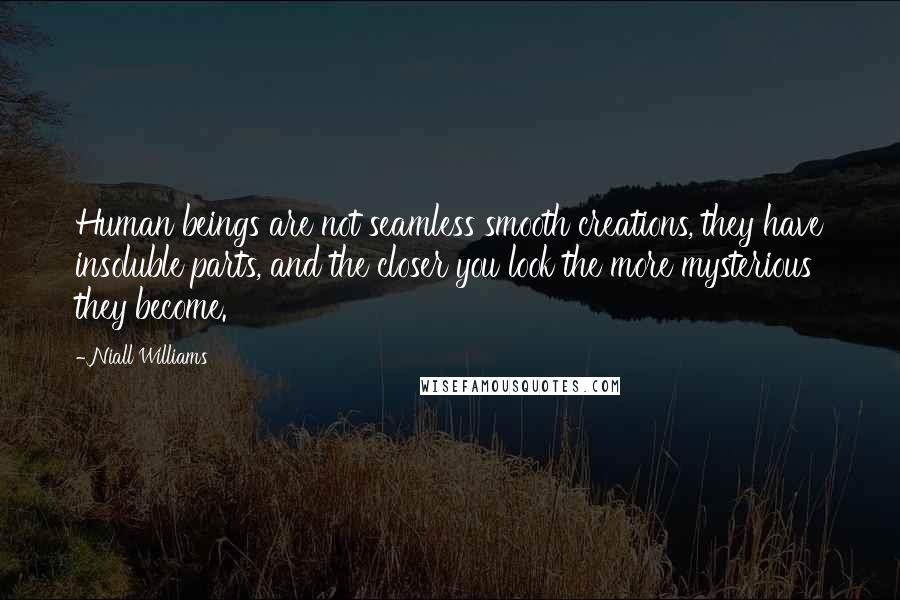 Niall Williams Quotes: Human beings are not seamless smooth creations, they have insoluble parts, and the closer you look the more mysterious they become.