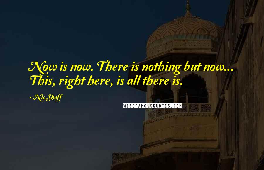 Nic Sheff Quotes: Now is now. There is nothing but now... This, right here, is all there is.