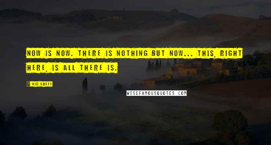 Nic Sheff Quotes: Now is now. There is nothing but now... This, right here, is all there is.