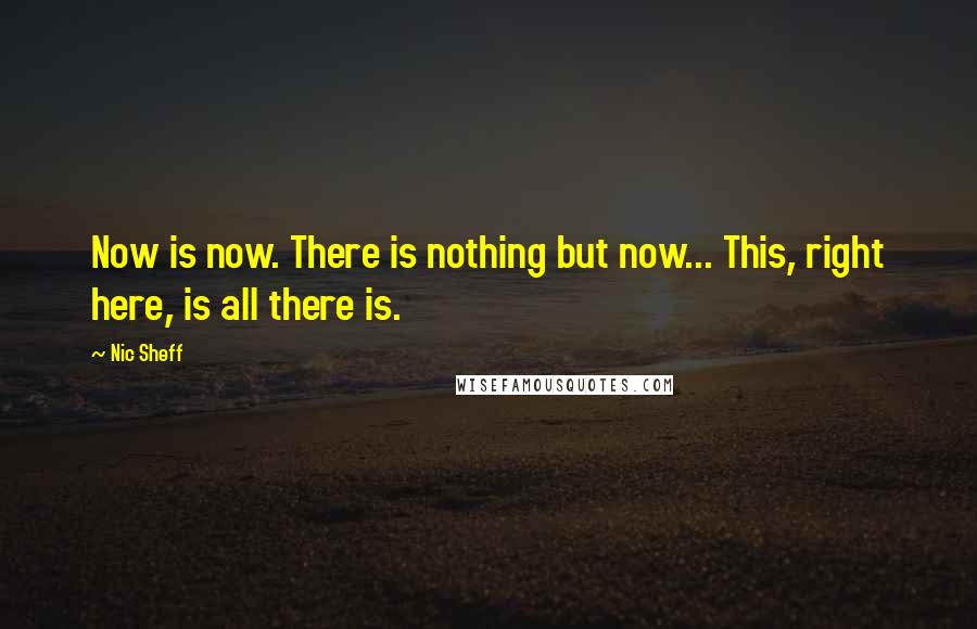 Nic Sheff Quotes: Now is now. There is nothing but now... This, right here, is all there is.