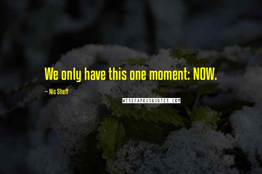 Nic Sheff Quotes: We only have this one moment: NOW.