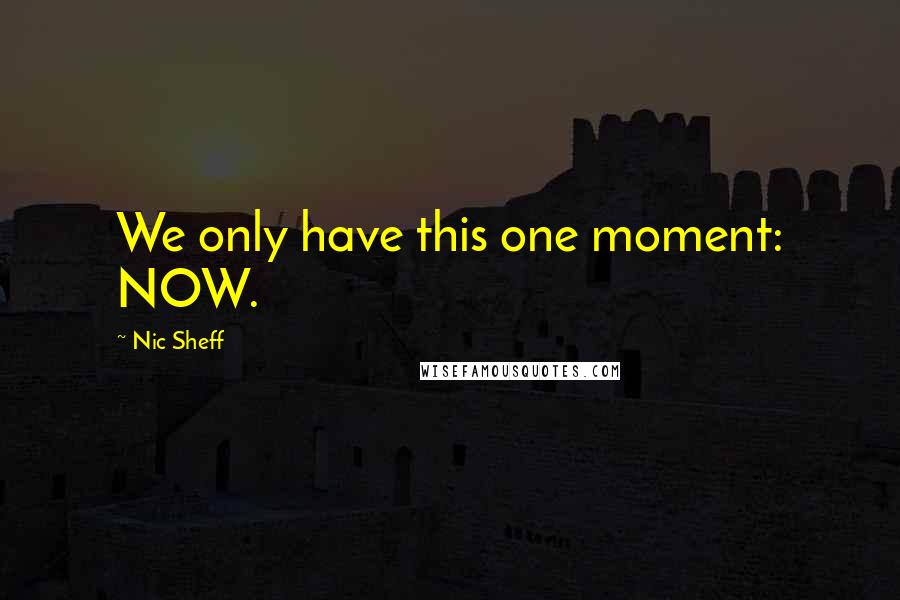 Nic Sheff Quotes: We only have this one moment: NOW.