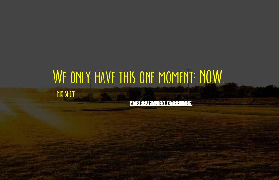 Nic Sheff Quotes: We only have this one moment: NOW.