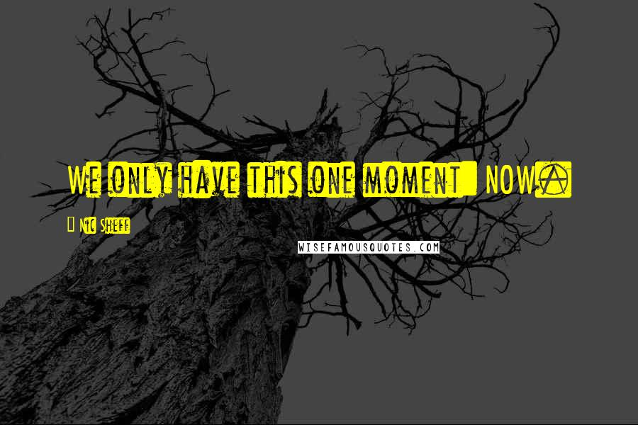 Nic Sheff Quotes: We only have this one moment: NOW.