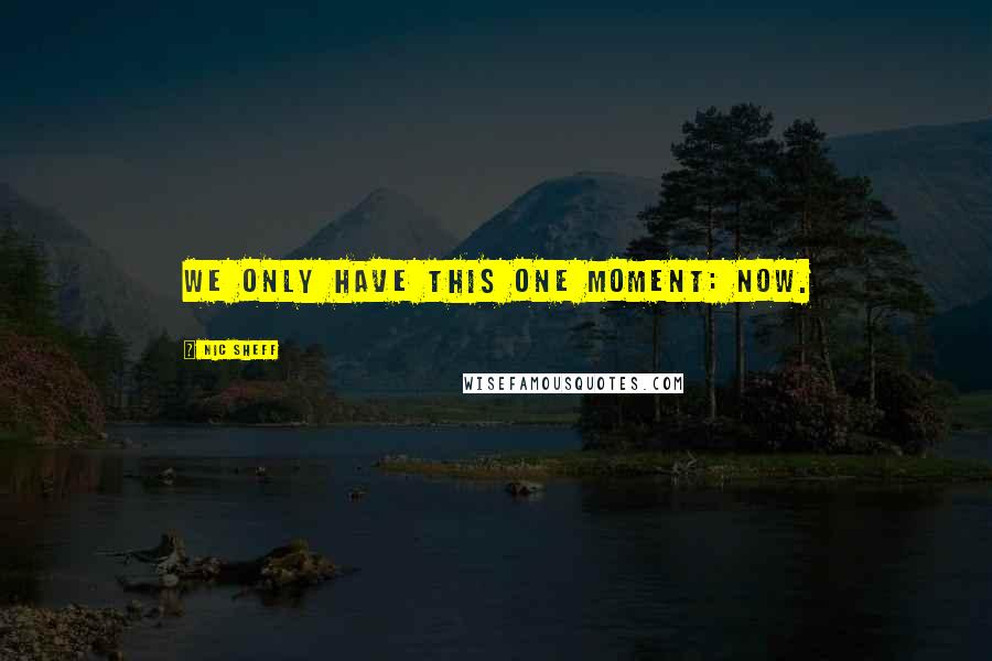 Nic Sheff Quotes: We only have this one moment: NOW.