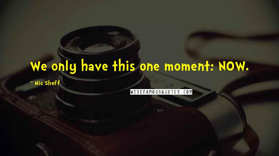 Nic Sheff Quotes: We only have this one moment: NOW.