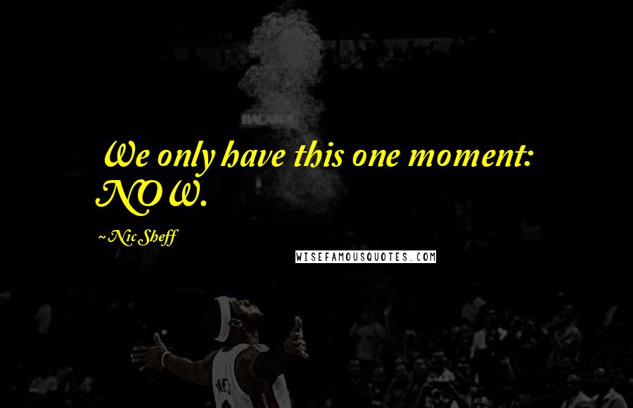 Nic Sheff Quotes: We only have this one moment: NOW.