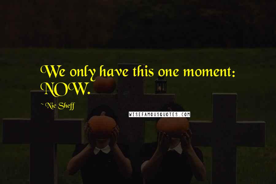 Nic Sheff Quotes: We only have this one moment: NOW.