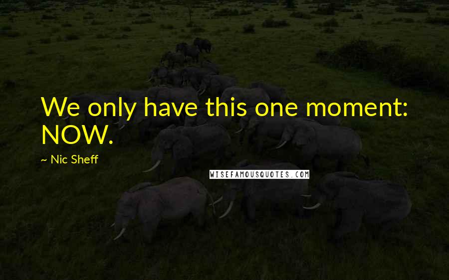 Nic Sheff Quotes: We only have this one moment: NOW.