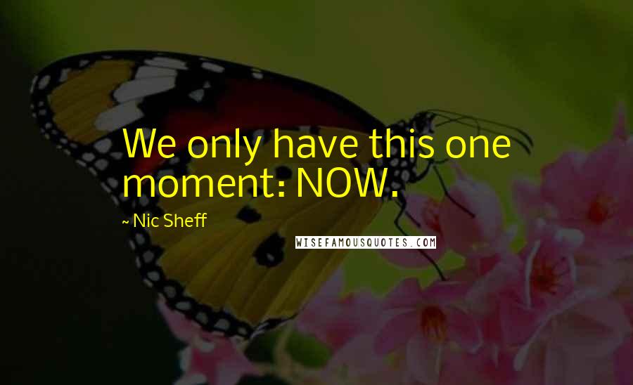 Nic Sheff Quotes: We only have this one moment: NOW.