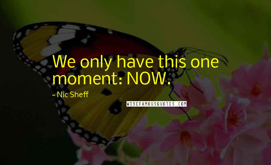 Nic Sheff Quotes: We only have this one moment: NOW.