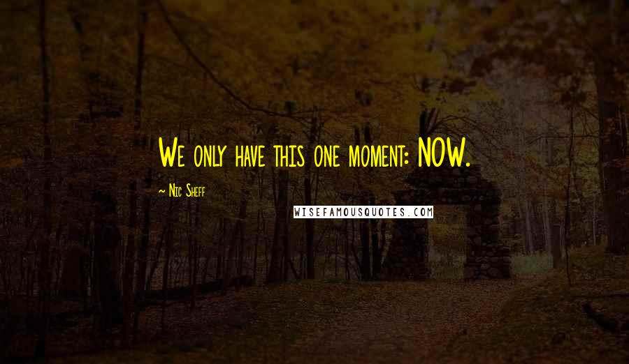 Nic Sheff Quotes: We only have this one moment: NOW.