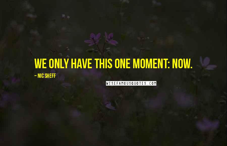 Nic Sheff Quotes: We only have this one moment: NOW.