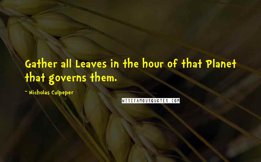 Nicholas Culpeper Quotes: Gather all Leaves in the hour of that Planet that governs them.