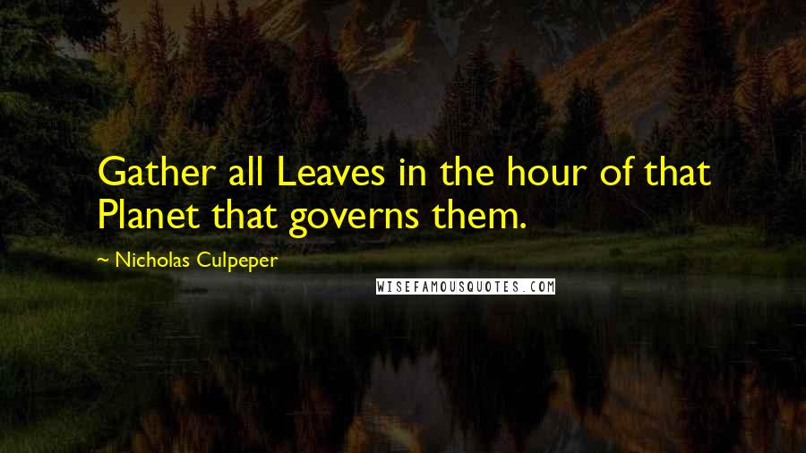 Nicholas Culpeper Quotes: Gather all Leaves in the hour of that Planet that governs them.