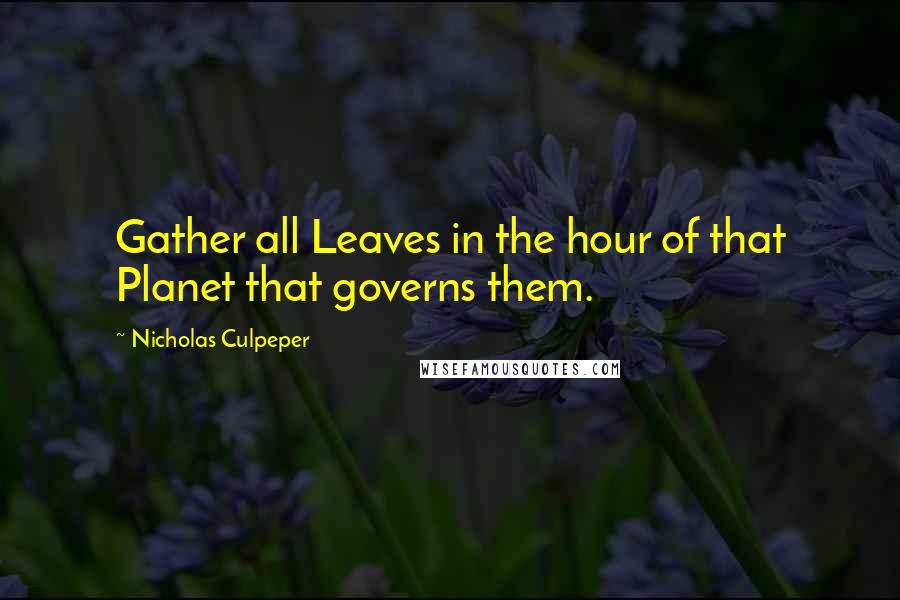 Nicholas Culpeper Quotes: Gather all Leaves in the hour of that Planet that governs them.