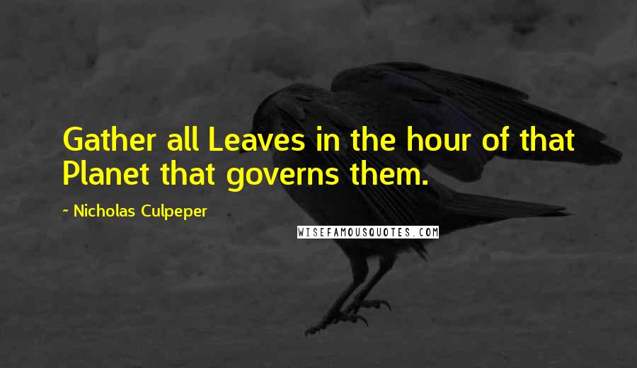 Nicholas Culpeper Quotes: Gather all Leaves in the hour of that Planet that governs them.