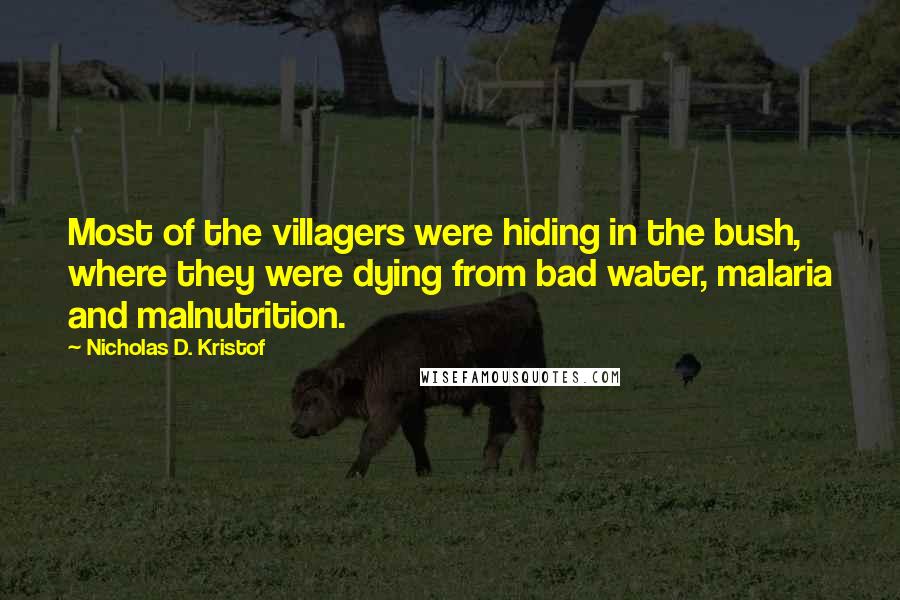 Nicholas D. Kristof Quotes: Most of the villagers were hiding in the bush, where they were dying from bad water, malaria and malnutrition.