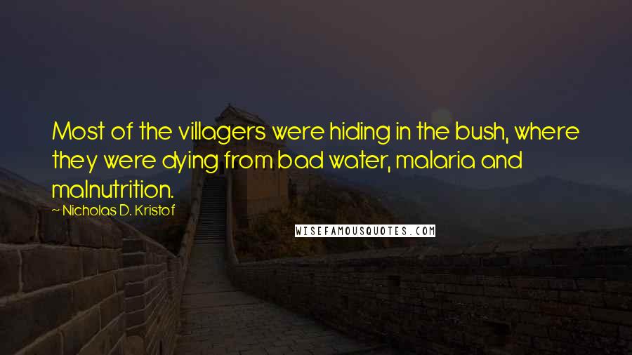 Nicholas D. Kristof Quotes: Most of the villagers were hiding in the bush, where they were dying from bad water, malaria and malnutrition.