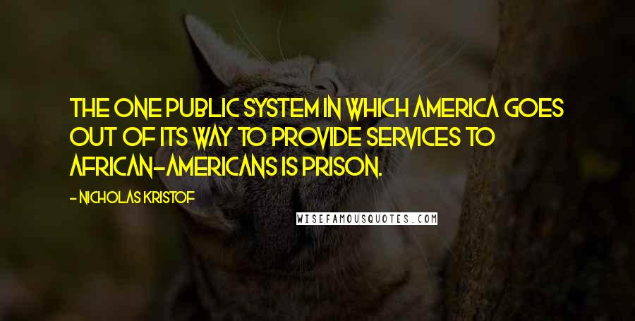 Nicholas Kristof Quotes: The one public system in which America goes out of its way to provide services to African-Americans is prison.