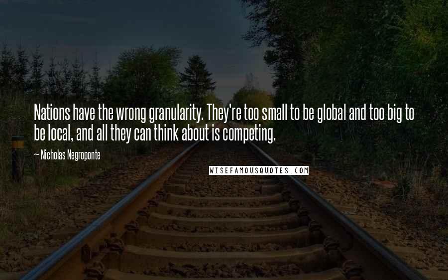 Nicholas Negroponte Quotes: Nations have the wrong granularity. They're too small to be global and too big to be local, and all they can think about is competing.