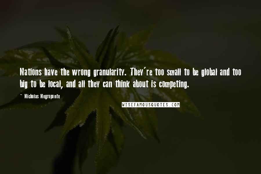 Nicholas Negroponte Quotes: Nations have the wrong granularity. They're too small to be global and too big to be local, and all they can think about is competing.