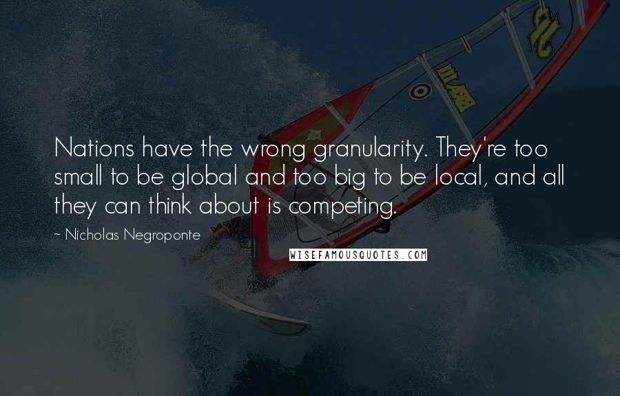 Nicholas Negroponte Quotes: Nations have the wrong granularity. They're too small to be global and too big to be local, and all they can think about is competing.
