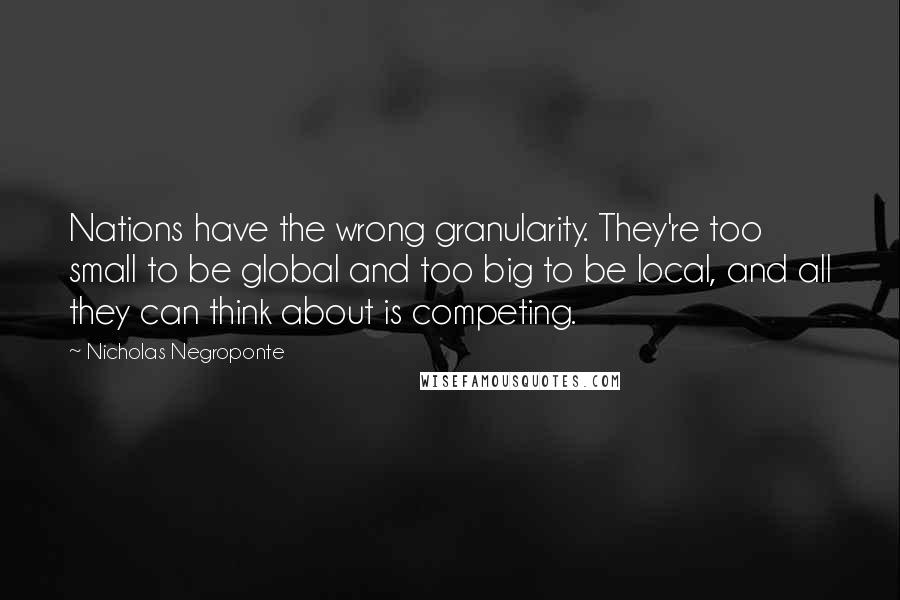 Nicholas Negroponte Quotes: Nations have the wrong granularity. They're too small to be global and too big to be local, and all they can think about is competing.