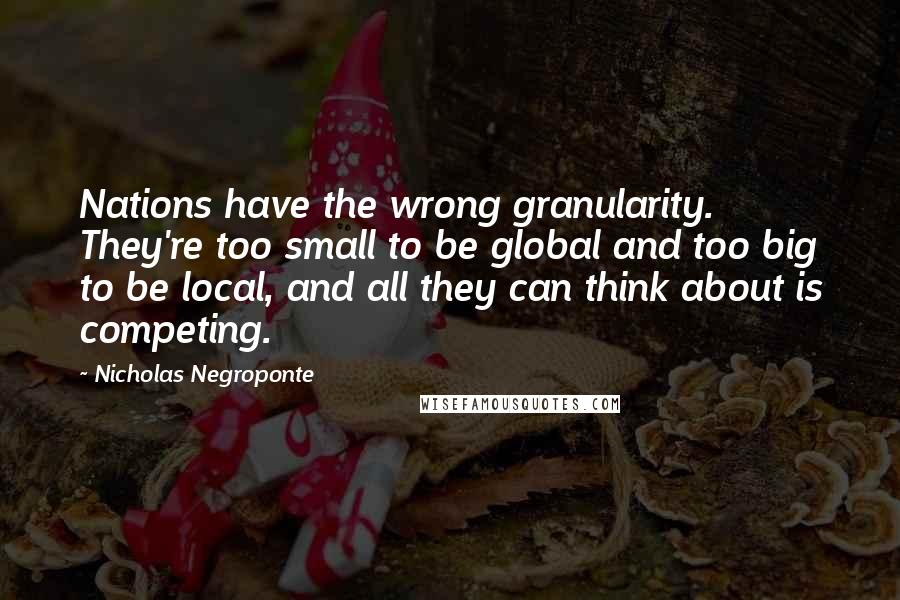 Nicholas Negroponte Quotes: Nations have the wrong granularity. They're too small to be global and too big to be local, and all they can think about is competing.