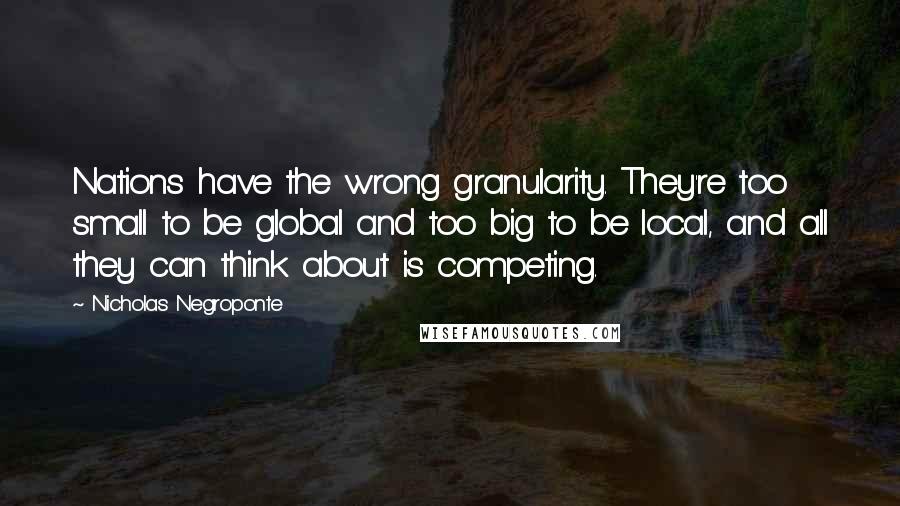 Nicholas Negroponte Quotes: Nations have the wrong granularity. They're too small to be global and too big to be local, and all they can think about is competing.