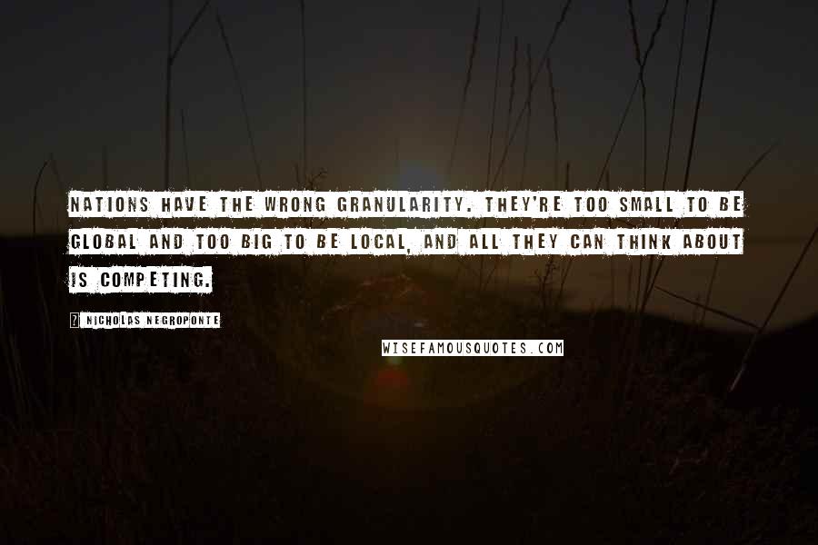 Nicholas Negroponte Quotes: Nations have the wrong granularity. They're too small to be global and too big to be local, and all they can think about is competing.