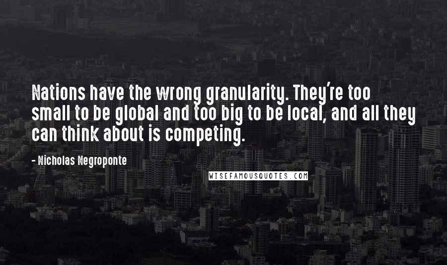 Nicholas Negroponte Quotes: Nations have the wrong granularity. They're too small to be global and too big to be local, and all they can think about is competing.