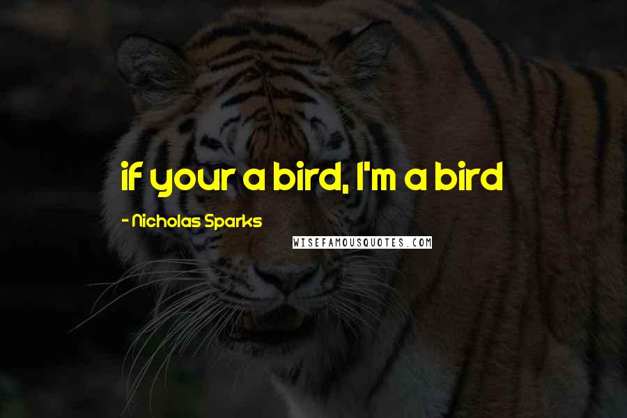 Nicholas Sparks Quotes: if your a bird, I'm a bird