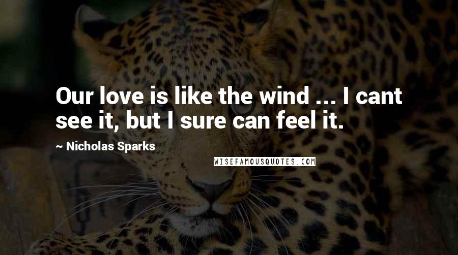 Nicholas Sparks Quotes: Our love is like the wind ... I cant see it, but I sure can feel it.